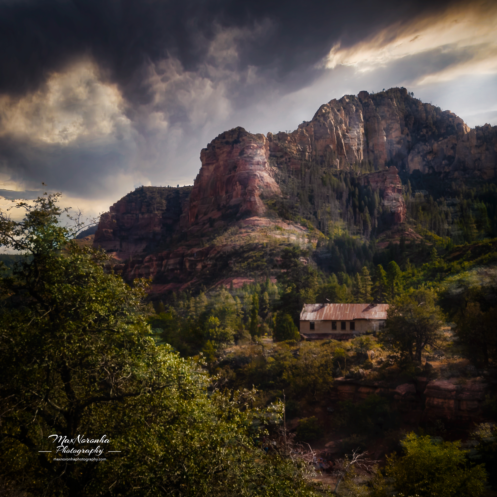 Nearsedonaforsocialmedia